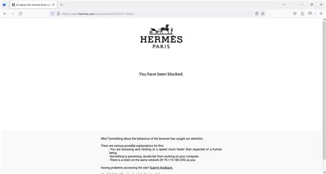 blocked from hermes website